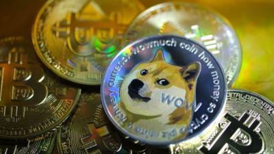 Anonymous donor uses ‘Dogecoin’ earnings to pay adoption fees at Daytona shelter - fox29.com