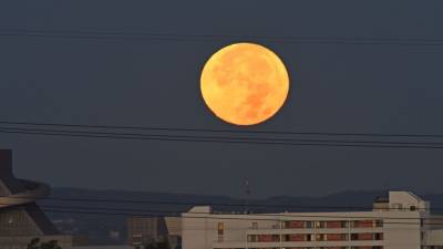 Supermoon Pink Moon to appear big and bright in the evening sky in April — here’s how to watch - fox29.com - Usa - Los Angeles
