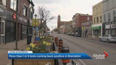 Mark Carcasole - Brampton’s COVID-19 test positivity rate surpasses 22% - globalnews.ca