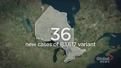 Ontario confirms 36 cases of B.1.617 variant from India - globalnews.ca - India - city Ottawa
