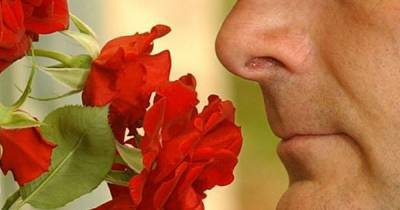 New advice for people who lose sense of smell after Covid - manchestereveningnews.co.uk