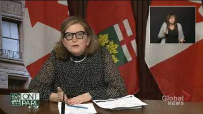 Barbara Yaffe - Canada should look at ‘really cutting down on’ non-essential travel, Yaffe says - globalnews.ca - Canada