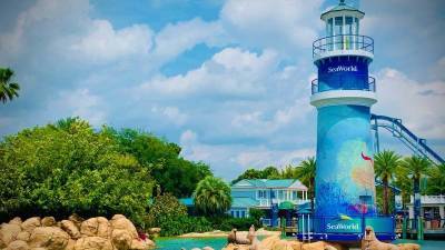 SeaWorld Orlando offers military members free admission - clickorlando.com