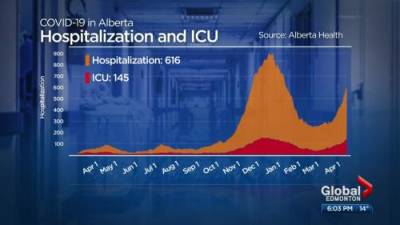 Julia Wong - COVID-19 hospitalizations, ICU numbers climbing in Edmonton - globalnews.ca