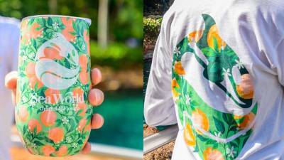 SeaWorld Orlando surprises fans with new retro orange peel merchandise - clickorlando.com - state Florida