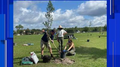 51 oak trees planted at Orange County park to celebrate 51 years of Earth Day - clickorlando.com - state Florida - county Orange