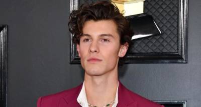 Shawn Mendes - Shawn Mendes asks fans to raise funds for COVID 19 affected India: We can try our best to make a difference - pinkvilla.com - India