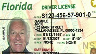 Will my driver’s license number suffice during traffic stop? - clickorlando.com