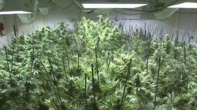 Phil Murphy - New Jersey moves closer to recreational marijuana market - fox29.com - state New Jersey