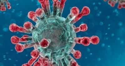 All the coronavirus variants identified - including Nigerian, South African and Liverpool - dailyrecord.co.uk - South Africa - Nigeria