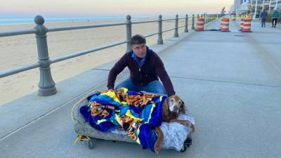 ‘This is a simple story about love’: Couple makes mobile bed to take elderly dog on walks in final months - fox29.com - county Bay - state Virginia - Georgia - city Chesapeake, county Bay