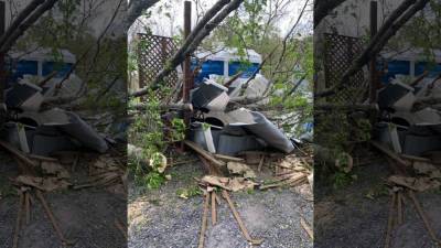 Fallen tree traps Gettysburg visitor inside portable toilet - fox29.com - state Pennsylvania - county Park - city Gettysburg