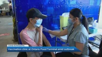 Marianne Dimain - COVID-19: Vaccination clinic opens at Ontario Food Terminal amid outbreak - globalnews.ca - county Ontario