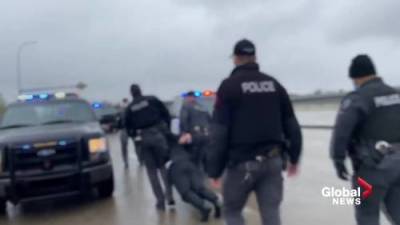 Police, government ‘had no choice’ but to crack down on Alberta public health order violators: criminologist - globalnews.ca