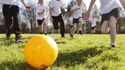 Up to €40m to be available for summer programmes for schools - rte.ie - Ireland