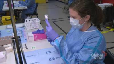 Behind-the-scenes with the team preparing COVID-19 vaccine vials in Toronto - globalnews.ca