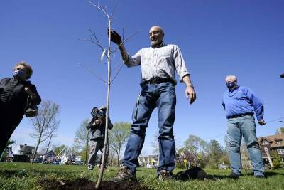 Cedar Rapids tries to turn city of stumps into tree oasis - clickorlando.com - state Iowa - city Cedar Rapids, state Iowa