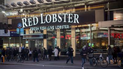Red Lobster seeking 'Chief Biscuit Officer' in new sweepstakes - fox29.com - New York