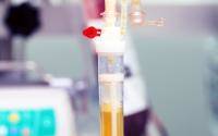 Plasma from recovered patients found not helpful for COVID hospital patients - cidrap.umn.edu - Britain
