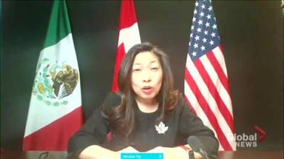 Canada, U.S., Mexico looking to strengthen, rebuild economies as trade partners: Ng - globalnews.ca - Canada - Mexico