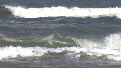 Search continues for swimmer missing off Cape Canaveral - clickorlando.com - county Brevard - state Michigan