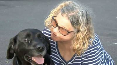 Lake County woman reunited with guide dog taken in March - clickorlando.com - state Florida - county Lake