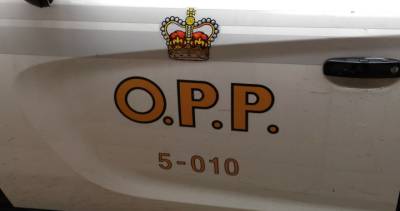 Dozens of Manitoba scofflaws turned away at Ontario border on long weekend: OPP - globalnews.ca
