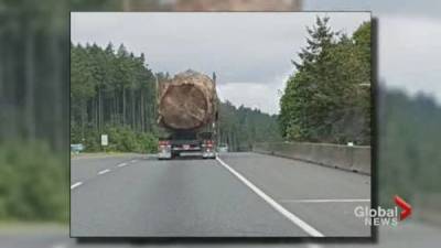 Viral photo of big log gets international attention - globalnews.ca - county Island - city Vancouver, county Island