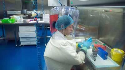 Covid-19 origin: Chinese scientists created coronavirus, study claims - livemint.com - China - India