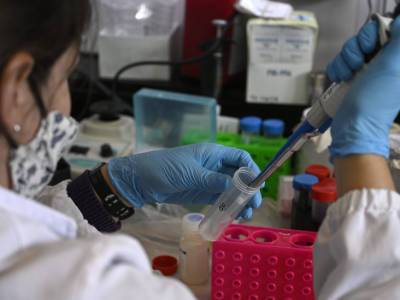 Researchers identify nanobodies that may block SARS-CoV-2 - medicalnewstoday.com - Sweden