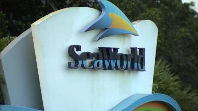 SeaWorld Orlando makes changes to its COVID-19 safety measures - clickorlando.com