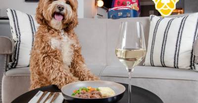 Hilton launches new menu for deserving dogs who supported owners through the pandemic - dailyrecord.co.uk - Britain