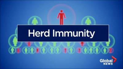 COVID-19: Herd immunity explained - globalnews.ca
