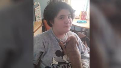 Deputies: 11-year-old girl dies trying to save dogs from Florida house fire - fox29.com - state Florida - county Sarasota