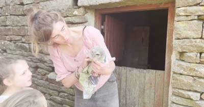 Amanda Owen - Our Yorkshire Farm's Amanda Owen praised as she nurses owl back to health - dailystar.co.uk