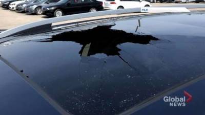 Shattered sunroof complaints on the rise in Canada - globalnews.ca - Canada