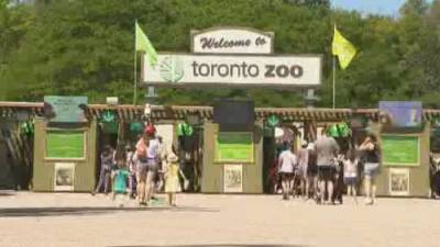 Toronto reopens zoos, farms, pools and other outdoor amenities - globalnews.ca