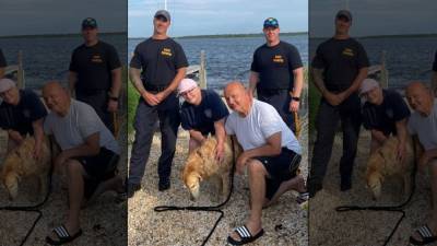 Missing golden retriever found swimming in Barnegat Bay by NJSP, reunited with owners - fox29.com - county Bay - state New Jersey