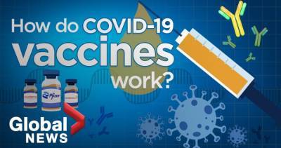 How COVID-19 vaccines work as young adults in Quebec remain hesitant to get jab - globalnews.ca