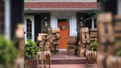 NY woman receives hundreds of Amazon packages she didn’t order - fox29.com - state New York - county Buffalo