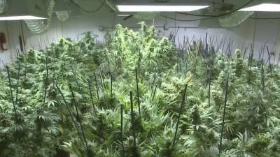 Changes to medical marijuana law in Pennsylvania approved by Legislature - fox29.com - state Pennsylvania - city Harrisburg