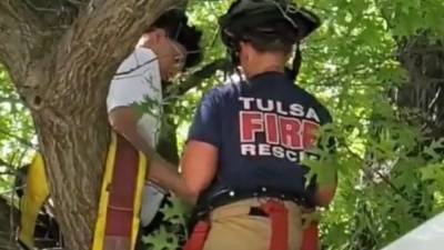 Rescue attempt leaves cat and owner stuck in tree - fox29.com - state Oklahoma - county Tulsa
