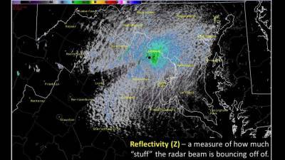 Cicadas could be cause of large mass on radar, NWS says - fox29.com - state Maryland
