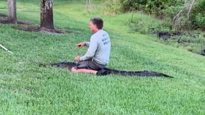 Woman attacked by 7' alligator while walking dog near lake in Palm Harbor - fox29.com - state Florida - county Pinellas