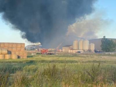 Emergency crews battle fire at hay plant near Lethbridge - globalnews.ca