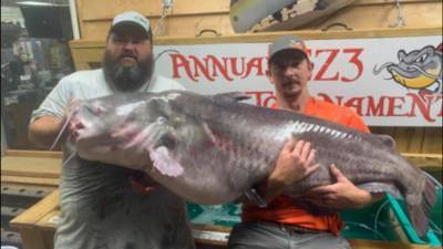 Record-breaking fish caught in North Carolina: 'Looked like a whale in the back of the boat' - fox29.com - state North Carolina