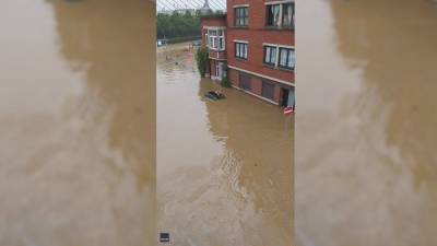 Video: Dogs rescued from deadly European floodwater - fox29.com - Germany - Netherlands - Belgium