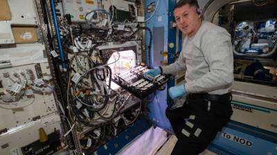 Shane Kimbrough - NASA astronauts growing chile peppers aboard International Space Station - fox29.com