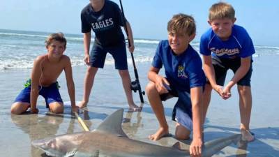 12-year-old reels in shark on NJ beach as crowd watches in awe - fox29.com - state New Jersey