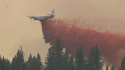 B.C. government declares wildfire state of emergency - globalnews.ca